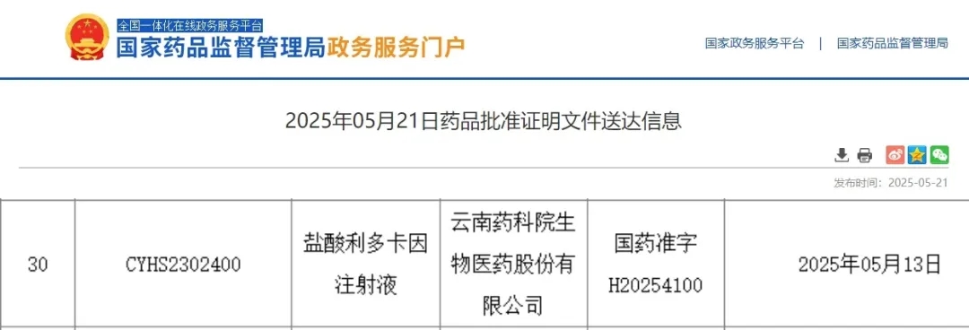 药物2.webp.jpg